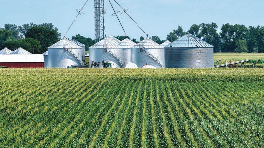Food and Agriculture Sector